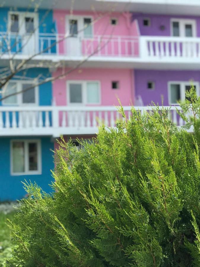 Hostel Casa Barbie Costinesti Zewnętrze zdjęcie